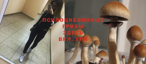 тгк Алексин